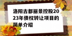 洛阳古都丽景控股2023年债权转让项目的简单介绍