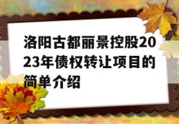 洛阳古都丽景控股2023年债权转让项目的简单介绍