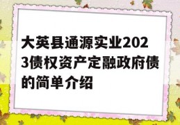 大英县通源实业2023债权资产定融政府债的简单介绍