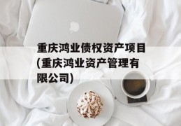 重庆鸿业债权资产项目(重庆鸿业资产管理有限公司)