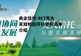 央企信托-467号大足双桥经开标债的简单介绍