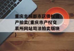 重庆主城都市区债权资产拍卖(重庆市产权交易所网站司法拍卖版块)