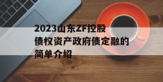 2023山东ZF控股债权资产政府债定融的简单介绍