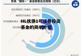 HL优债1号证券投资基金的简单介绍