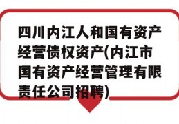 四川内江人和国有资产经营债权资产(内江市国有资产经营管理有限责任公司招聘)