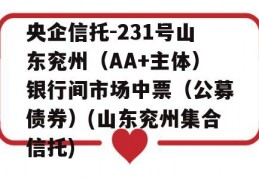 央企信托-231号山东兖州（AA+主体）银行间市场中票（公募债券）(山东兖州集合信托)