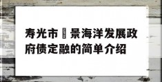 寿光市昇景海洋发展政府债定融的简单介绍