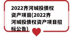 2022齐河城投债权资产项目(2022齐河城投债权资产项目招标公告)