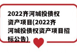 2022齐河城投债权资产项目(2022齐河城投债权资产项目招标公告)