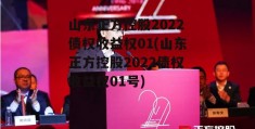 山东正方控股2022债权收益权01(山东正方控股2022债权收益权01号)