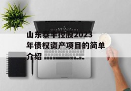 山东泰丰控股2023年债权资产项目的简单介绍