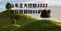 山东正方控股2022债权收益权01的简单介绍