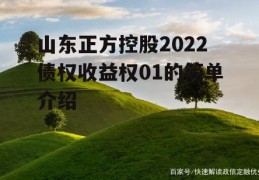 山东正方控股2022债权收益权01的简单介绍