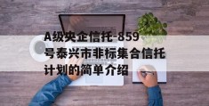 A级央企信托-859号泰兴市非标集合信托计划的简单介绍