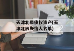 天津北辰债权资产(天津北辰失信人名单)