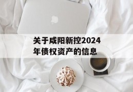 关于咸阳新控2024年债权资产的信息