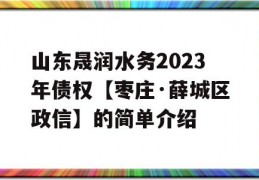 山东晟润水务2023年债权【枣庄·薛城区政信】的简单介绍