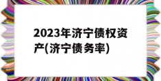 2023年济宁债权资产(济宁债务率)