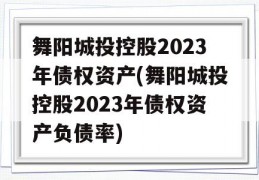 舞阳城投控股2023年债权资产(舞阳城投控股2023年债权资产负债率)