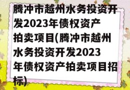 腾冲市越州水务投资开发2023年债权资产拍卖项目(腾冲市越州水务投资开发2023年债权资产拍卖项目招标)