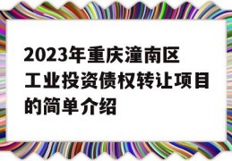 2023年重庆潼南区工业投资债权转让项目的简单介绍