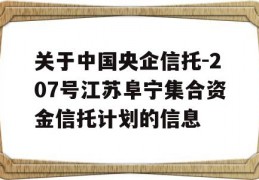 关于中国央企信托-207号江苏阜宁集合资金信托计划的信息