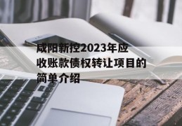 咸阳新控2023年应收账款债权转让项目的简单介绍