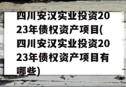 四川安汉实业投资2023年债权资产项目(四川安汉实业投资2023年债权资产项目有哪些)