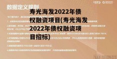 寿光海发2022年债权融资项目(寿光海发2022年债权融资项目招标)