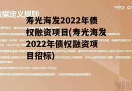 寿光海发2022年债权融资项目(寿光海发2022年债权融资项目招标)