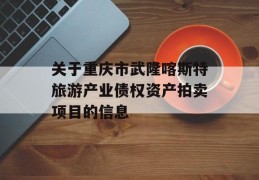 关于重庆市武隆喀斯特旅游产业债权资产拍卖项目的信息