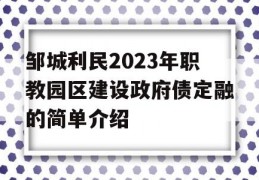 邹城利民2023年职教园区建设政府债定融的简单介绍