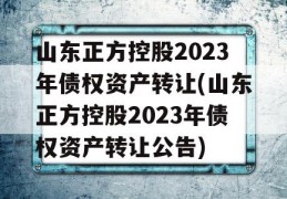 山东正方控股2023年债权资产转让(山东正方控股2023年债权资产转让公告)