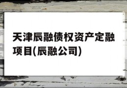 天津辰融债权资产定融项目(辰融公司)