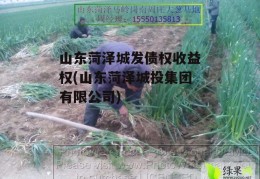 山东菏泽城发债权收益权(山东菏泽城投集团有限公司)