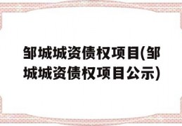 邹城城资债权项目(邹城城资债权项目公示)