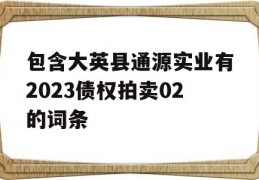 包含大英县通源实业有2023债权拍卖02的词条