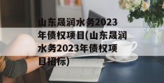 山东晟润水务2023年债权项目(山东晟润水务2023年债权项目招标)