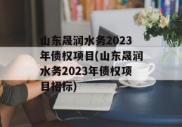 山东晟润水务2023年债权项目(山东晟润水务2023年债权项目招标)