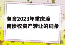 包含2023年重庆潼南债权资产转让的词条