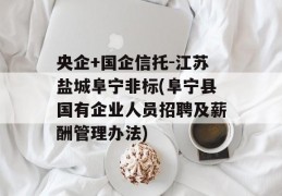 央企+国企信托-江苏盐城阜宁非标(阜宁县国有企业人员招聘及薪酬管理办法)