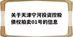 关于天津宁河投资控股债权拍卖01号的信息