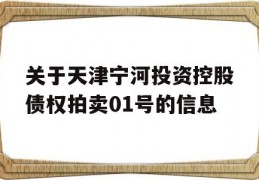 关于天津宁河投资控股债权拍卖01号的信息