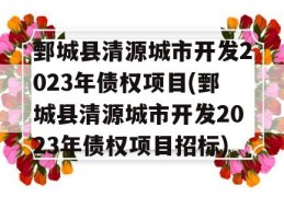 鄄城县清源城市开发2023年债权项目(鄄城县清源城市开发2023年债权项目招标)