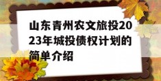 山东青州农文旅投2023年城投债权计划的简单介绍