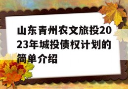 山东青州农文旅投2023年城投债权计划的简单介绍