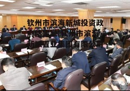 钦州市滨海新城投资政府债定融(钦州市滨海新城置业集团有限公司)