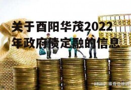 关于酉阳华茂2022年政府债定融的信息