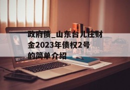 政府债_山东台儿庄财金2023年债权2号的简单介绍