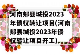 河南郏县城投2023年债权转让项目(河南郏县城投2023年债权转让项目开工)